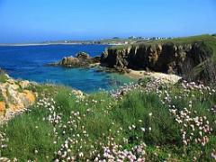 156 ILE DE HOEDIC_000070